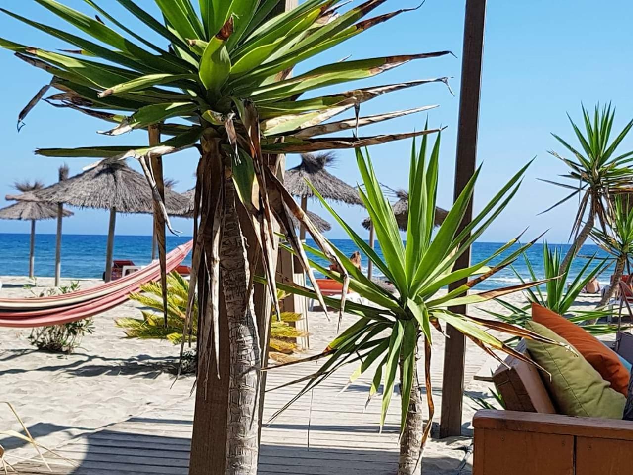 Beau Studio A 1 Minute De La Plage Canet-en-Roussillon Exteriör bild